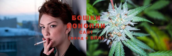ешки Михайловск