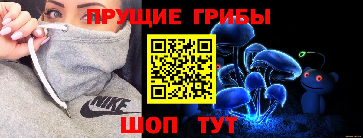 Галлюциногенные грибы Psilocybe  Вход с VPN  Радужный 
